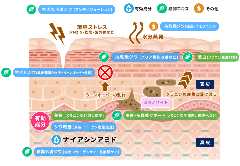 薬用エッセンスnaの効果イメージ図