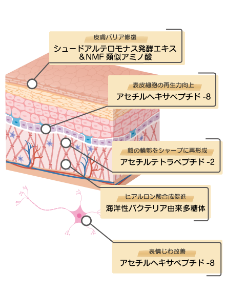 リンクルリセット クリーム | ホシケミカルズ株式会社